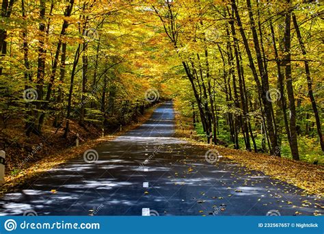 The Road Through The Autumn Forest Golden Trees And A Road Stock Image