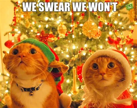 26 Funny Christmas Morning Memes Factory Memes