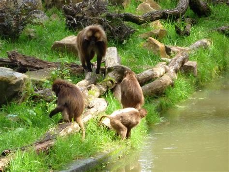 Instant affiliate program with 800,000+ active affiliates. Zájezd do ZOO Zlín, 27.5.2018 - Fotogalerie - Obec Malá ...
