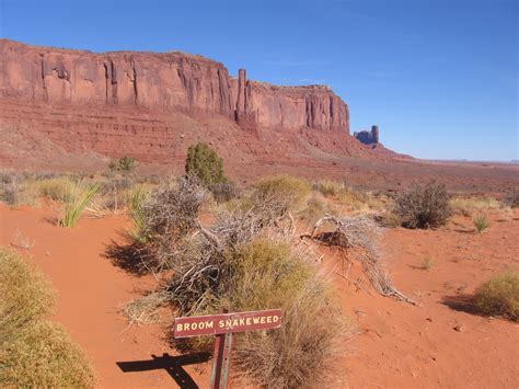 Four Corners Hikes Navajo Nation Wildcat Trail At Monument Valley