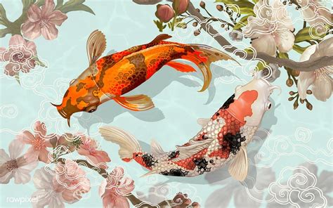 Download Premium Illustration Of Two Japanese Koi Fish Swimming 449855