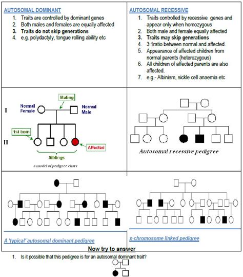 Genetics and Molecular Biology Impact factorNotes in Pdf Download