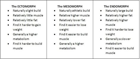 Home workouts provides daily workout routines for all your main muscle groups. What bodytype are you ? - The Mesomorph - Gym Training App ...