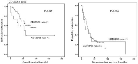 Prognostic Significance Of Cd68 Cd163 And Folate Receptor‑β Positive