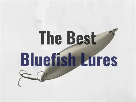 The 4 Best Lures For Bluefish Fishing Fanatiks