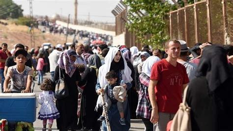 شبكة بلدي الإعلامية برلمانية أوروبية وضع اللاجئين السوريين داخل تركيا حساس للغاية