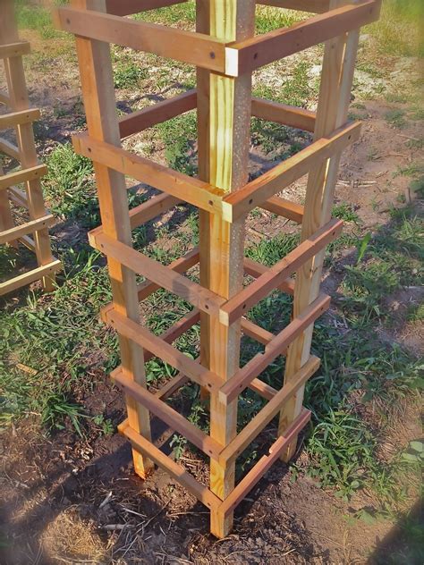 Cage For Tomatoes Or Can Be Used For Other Veggies Like Pole Beans
