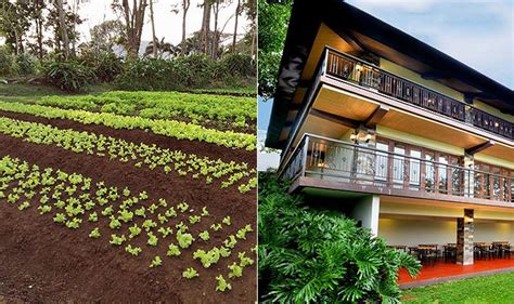 Farm House In The Philippines Ideas Of Europedias