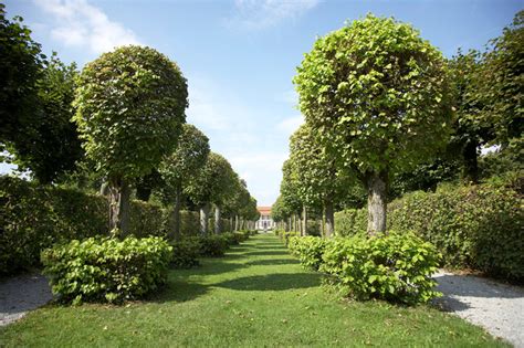 Just click the green download button above to start. 41 Incredible Garden Hedge Ideas for Your Yard (PHOTOS)