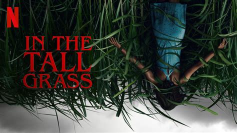 New Trailer For “in The Tall Grass” Stephen King And Joe Hill