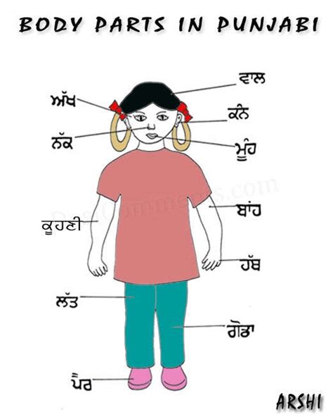 She felt a sharp pain in her abdomen every. Body parts in punjabi - DesiComments.com