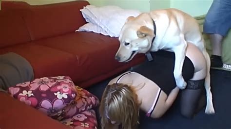 Dog Doing Bestiality With Blonde Xxx Femefun