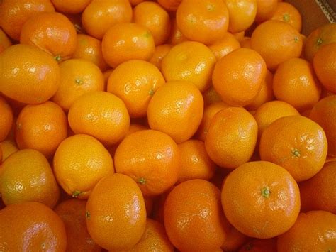 Clementine Oranges Orange You Glad We Told You So You Can Come Buy
