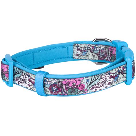 Check spelling or type a new query. The Best Self | Padded Dog Collar - PetANtastic