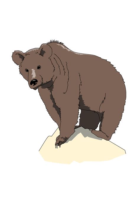 Grizzly Bear Standing On Rock Vector Clipart Image Free Stock Photo