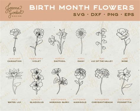Birth Month Flowers Svg Clipart Summer Flower Svg Birth Etsy Uk