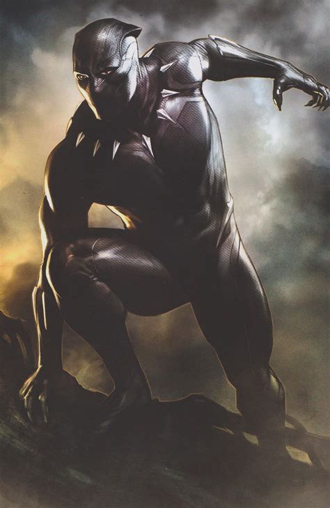 Pin By Maximus The Great On Marvel Black Panther Art Black Panther