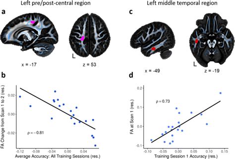 Brain Behavior Correlation A Significant Negative Correlation Between
