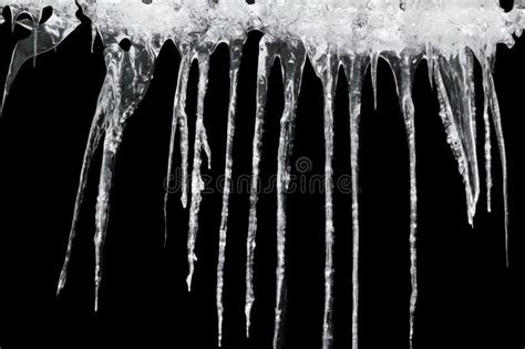 Icicles On A Black Background Stock Photo Image Of Nature Climate
