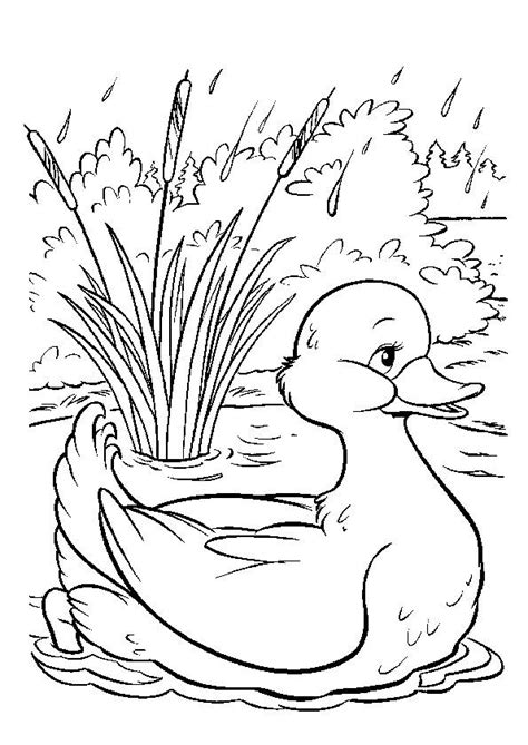 Free printable Duck coloring pages