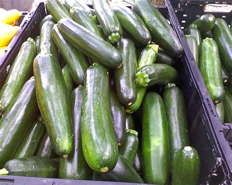 Of zucchini16 to 17 calories in 3½ or 100g of zucchini20 calories in one cup of chopped zucchini18 calories in one cup of sliced zucchini.for free vegetable and fruit calorie chartsto use as daily guides for. Beasley Farm of Brooksville: Zucchini - Nutrition