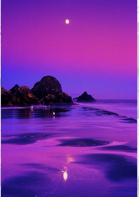 Purple Seas And Skies Beautiful Places Beautiful Landscapes