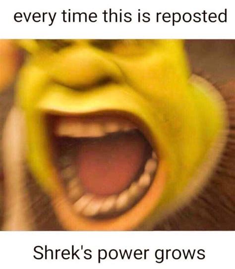 Do The Roar Rshrek