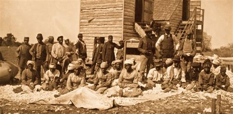 Black America And Land Loss Since Emancipation Brewminate A Bold