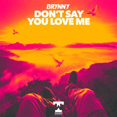 Dont Say You Love Me Remix Comp By Brynny Free Download On Hypeddit