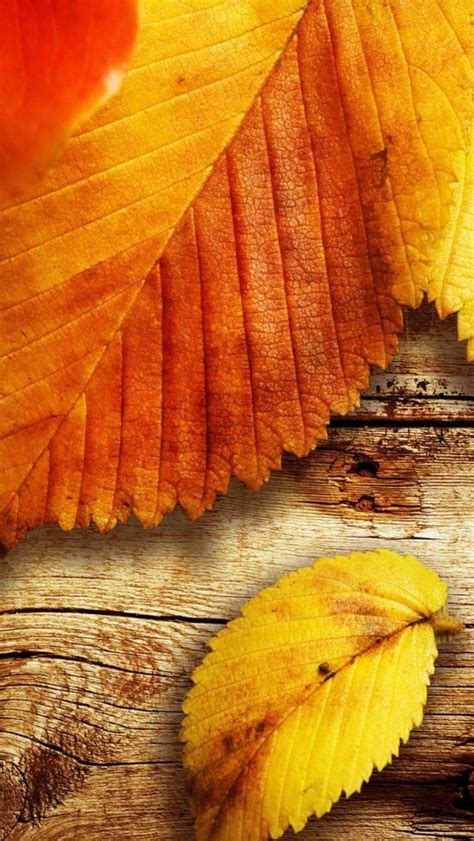 Autumn Hd Wallpapers For Iphone Se Wallpaperspictures