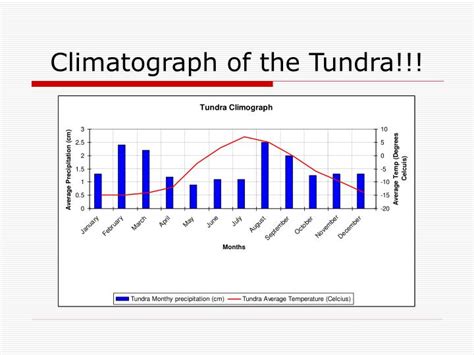 Ppt The Tundra Biome Powerpoint Presentation Id1428086