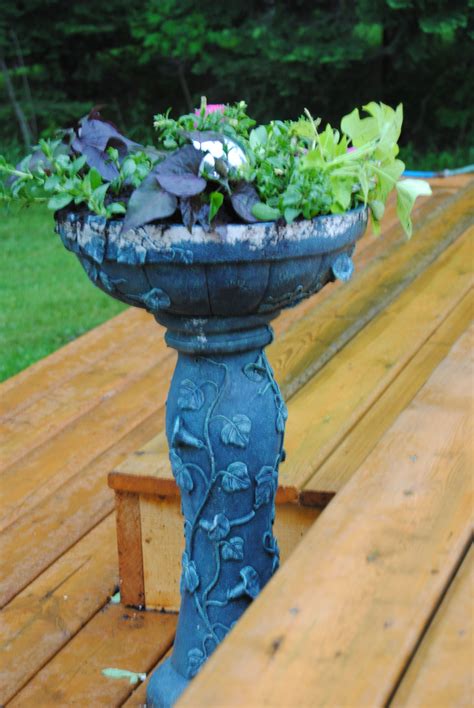 Old Bird Bath With Paint Chipping Recycled Into Planter Bird Bath