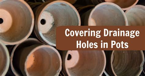 Covering Drainage Holes In Pots How To Keep Soil From Washing Out