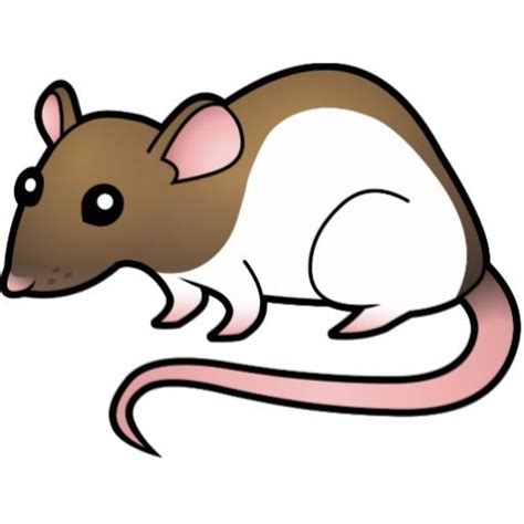 Cartoon Rats Pictures Cartoon Rat Mouse Illustration Cartoon Pics