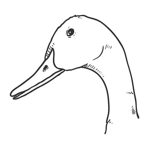 Share 159 Duck Beak Drawing Best Vn