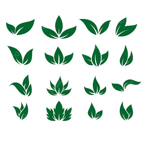 Green Leaves Isolated Vector Hd Images Leaf Icons Vector Design Leaves