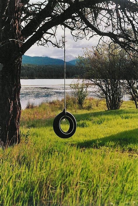 57 Best Tree Swings Images In 2019 Outdoor Backyard Tire Swings