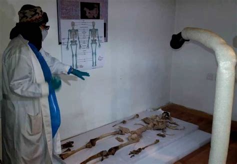 Iran Germany To Arrange Exhibit On Salt Mummies Tehran Times