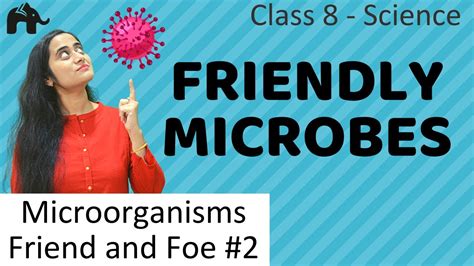 Friendly Microbes Microorganisms Friend Or Foe 2 Class 8 Science