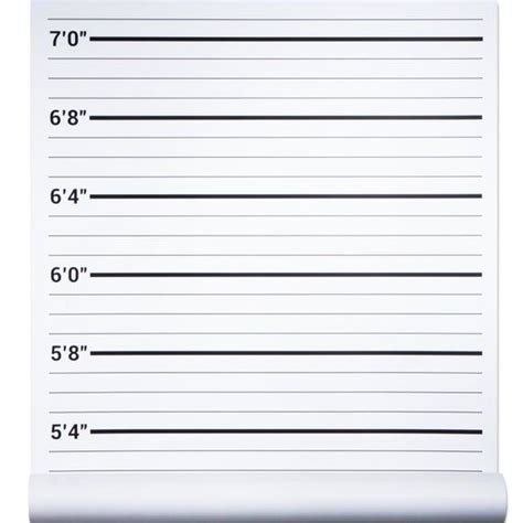This High Quality Height Chart Backdrop Not Only Looks Professional But