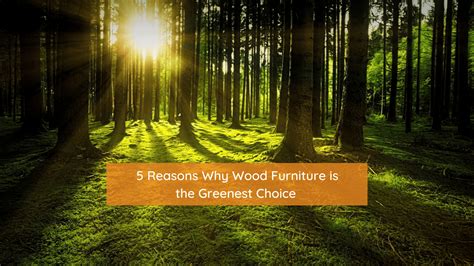 5 Reasons Why Wood Furniture Is The Greenest Choice — Mainland Furniture