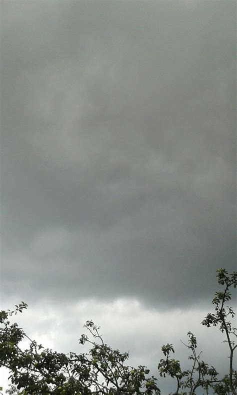 Cloudy Sky Clouds Rain Rainy Storm Trees Leaves Grey Grey