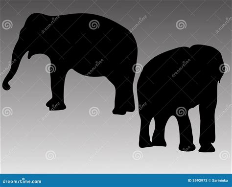 Silhouette Of Two Elephants Stock Vector Illustration Of Garden Snow