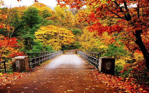 2016 First Day Of Fall Quotes 20 Best Autumn Sayings