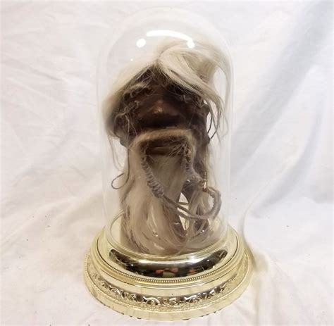 Jivaro Shrunken Head Tsantsa Glass Display Dome Curiosity Oddity Shop