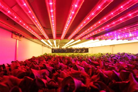 Inside Aerofarms The Worlds Largest Vertical Farm Business Insider