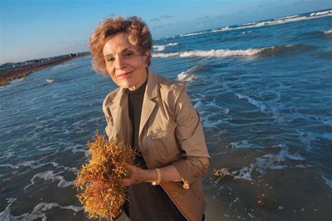 Sylvia Earle Discoveries Achievements And Facts Britannica