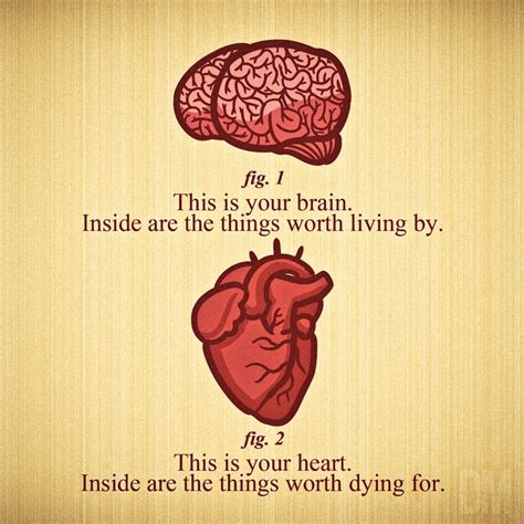 Pin By Heart Alchemy Yoga On Things And Stuff Brains Quote Heart Vs Brain Words