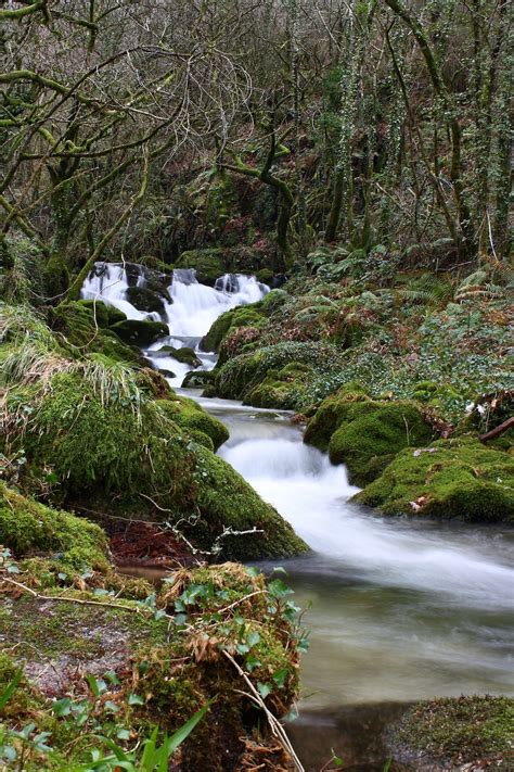 Gambar Pemandangan Pohon Alam Batu Air Terjun Sungai Kecil