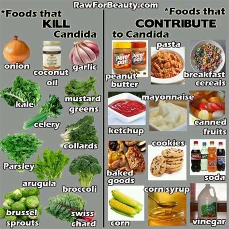 Foods That Kill Candida And Foods That Contribute To Candida